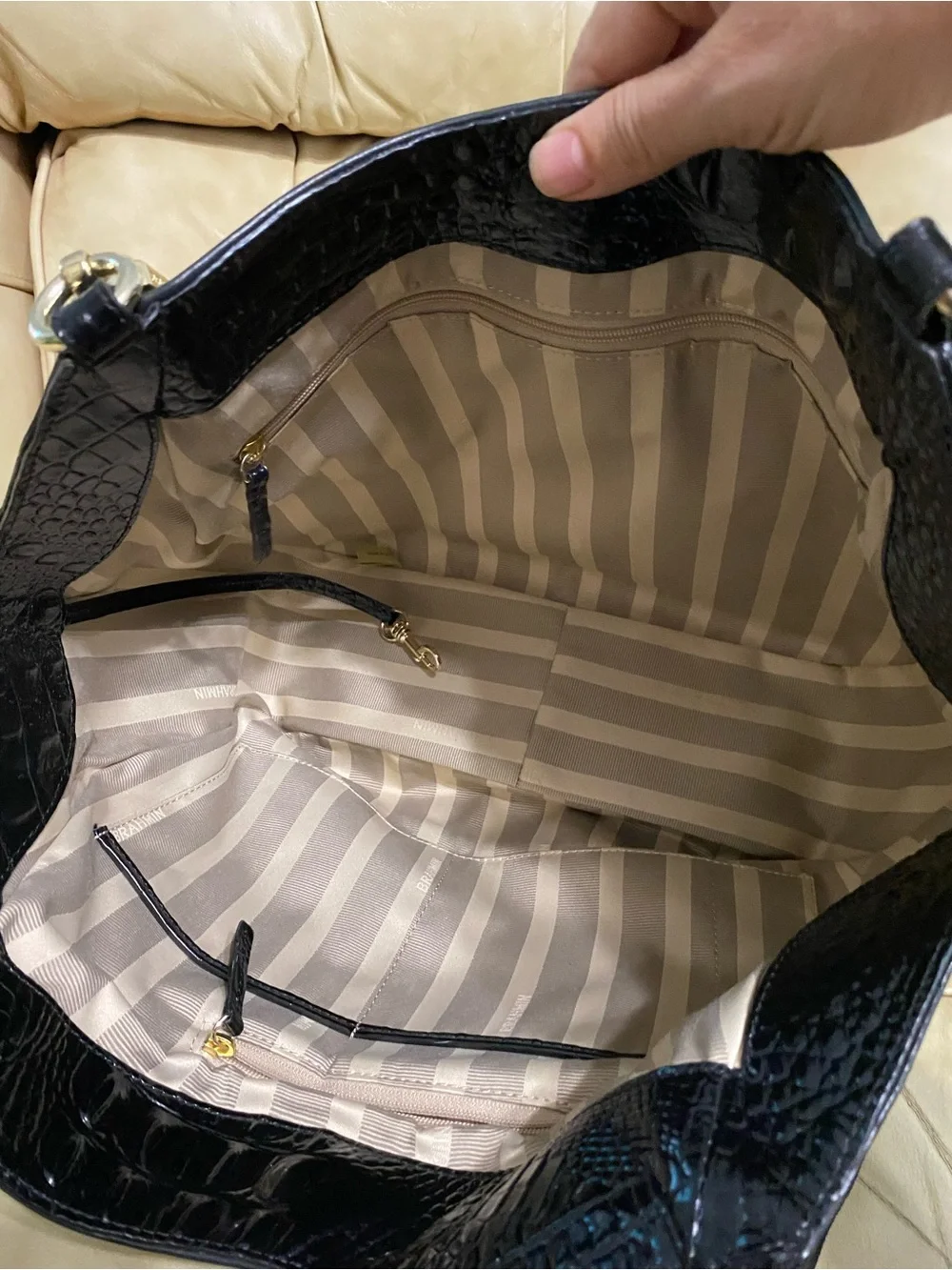 Brahmin authentic retired
